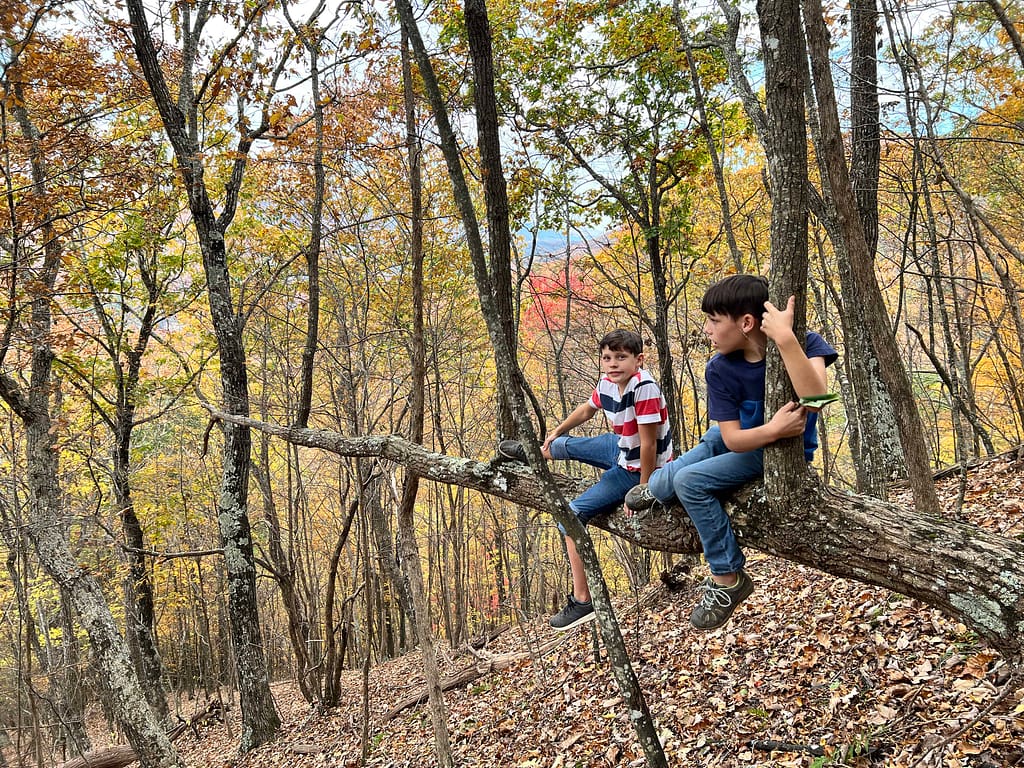 2 brothers sitting on a tree limb in the forest