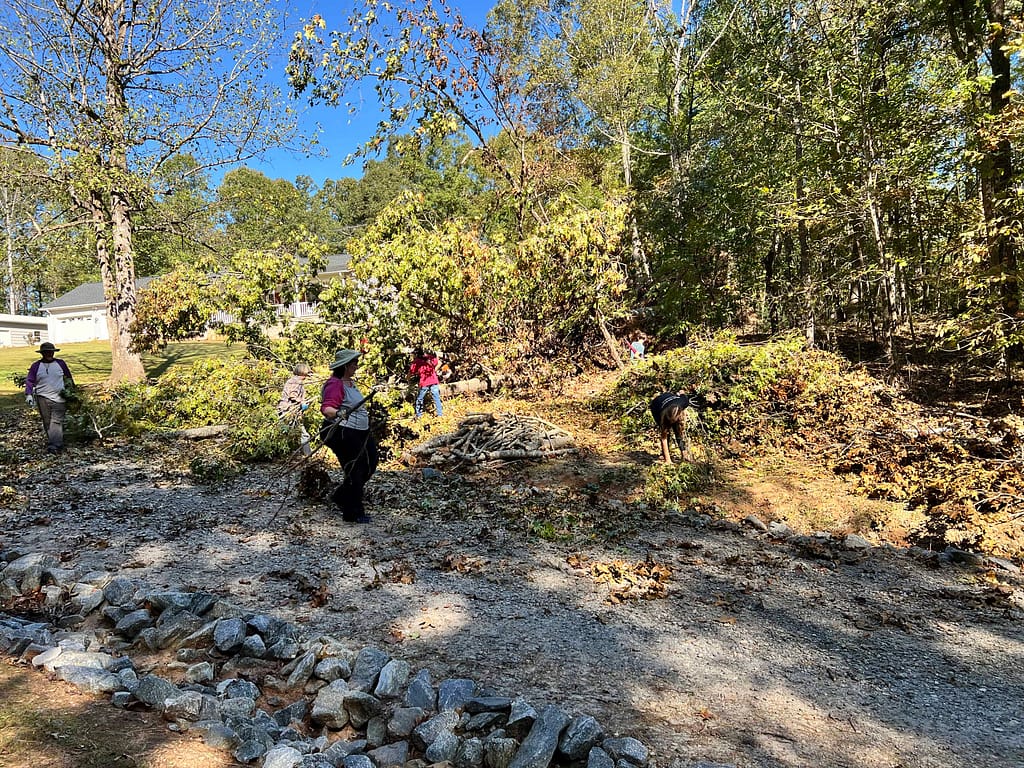 picking up branches from Helene