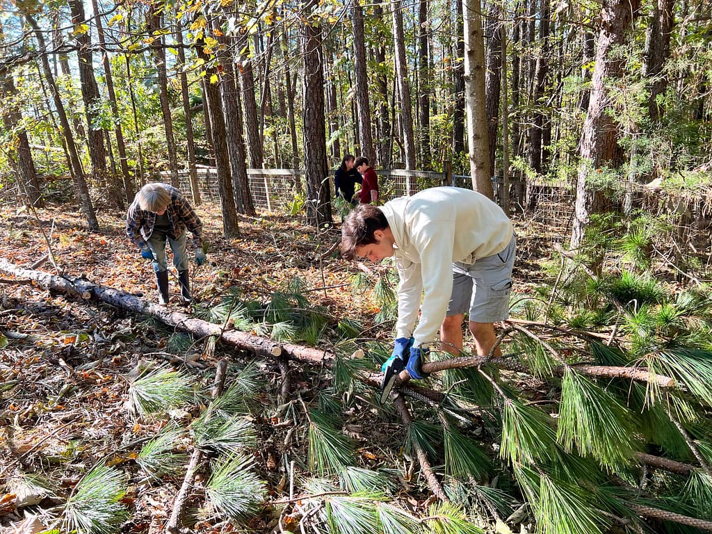 cleaning up Hurricane Helene