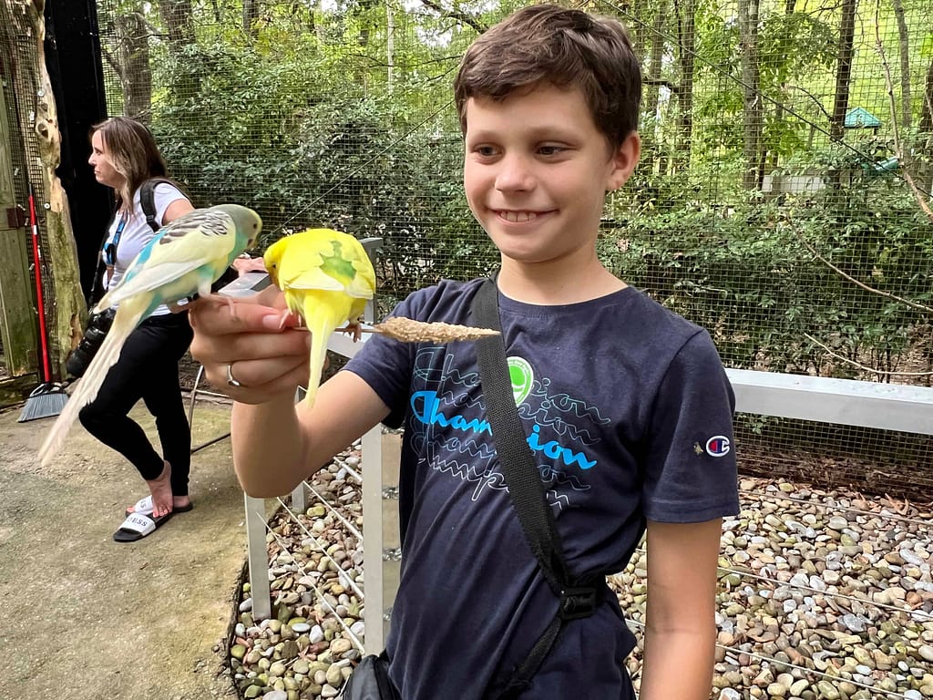 boy holding bird on stick
