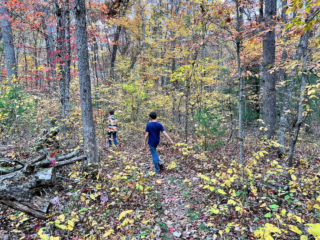boys hiking in Jefferson National forest in fall