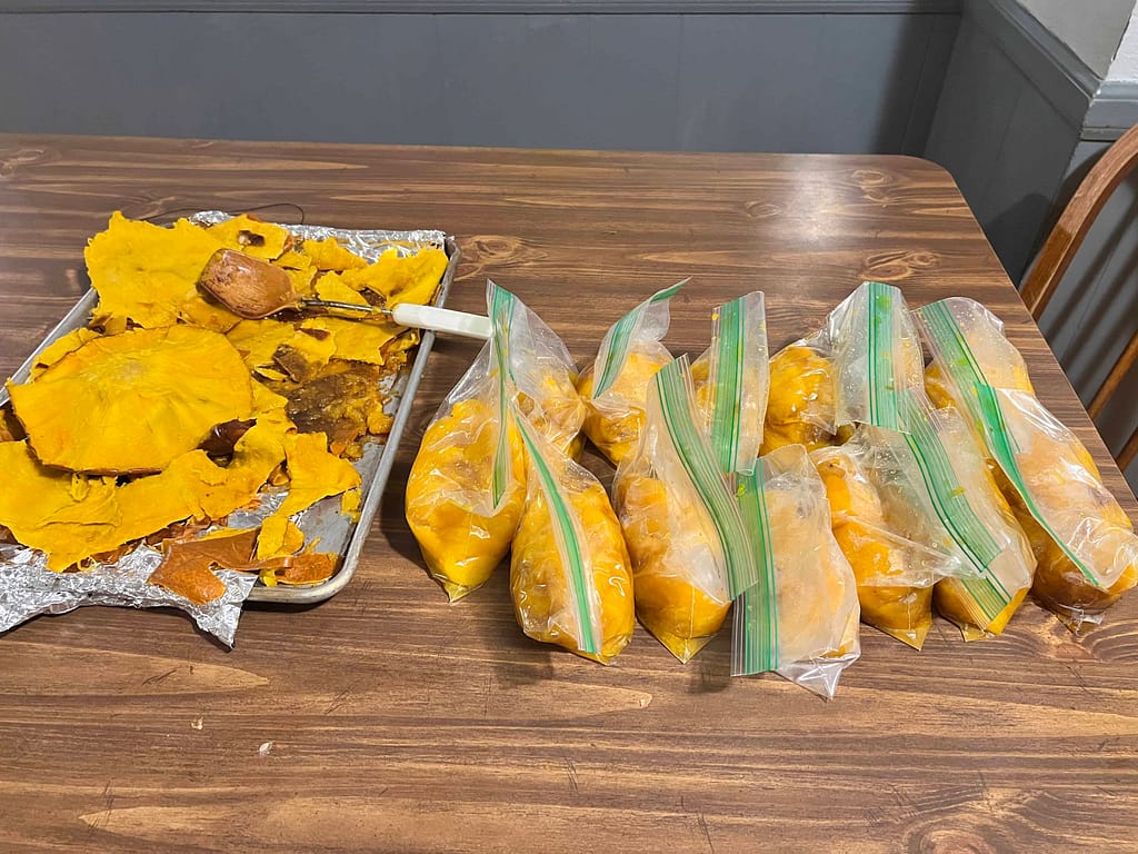 13 bags of pureed pumpkin