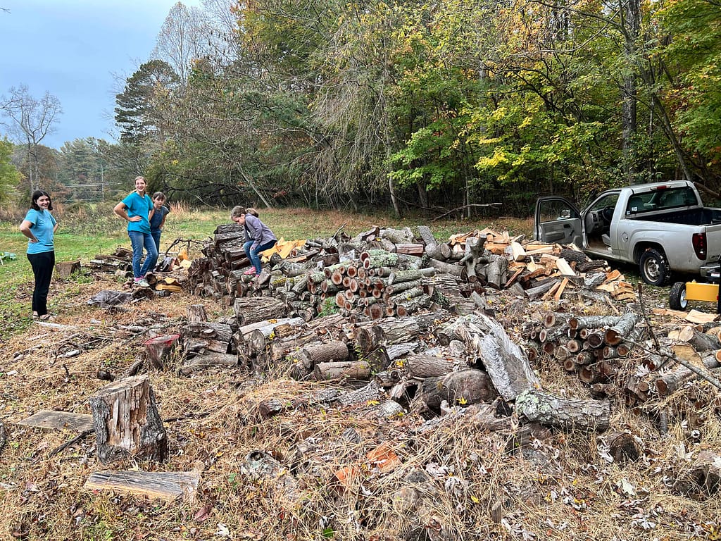 piles of firewood that needs to be stacked