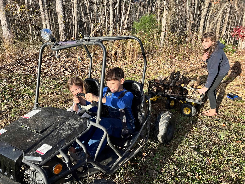 kids pulling a load of wood behind a gocart