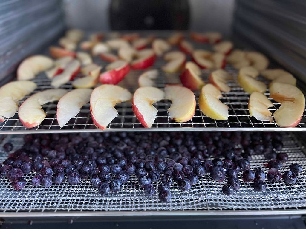 apples and blueberries drying in a dehydrator