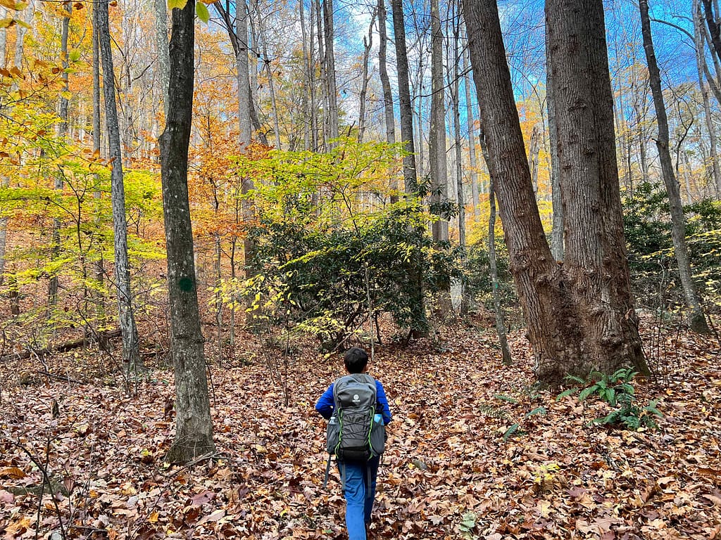 11 year old boy hiking in the woods in fall