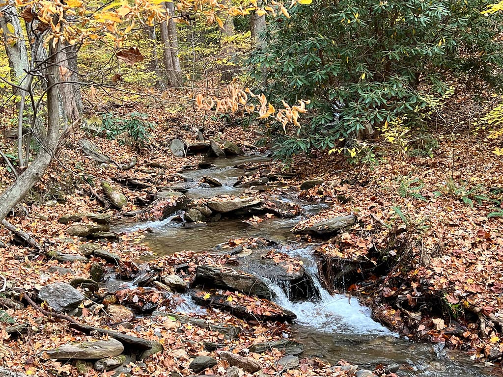 beautiful creek in fall