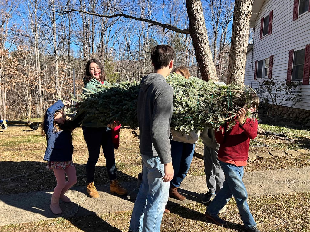 family carrying Christmas tree into the house