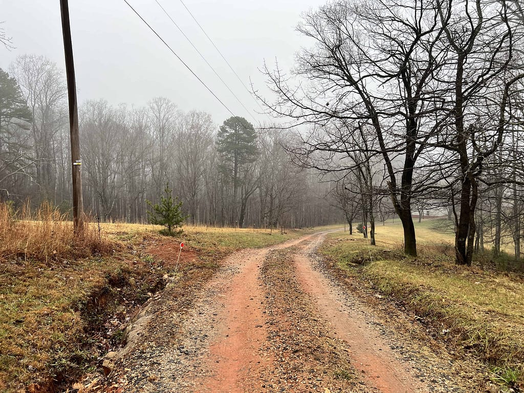 foggy rural driveway in winter