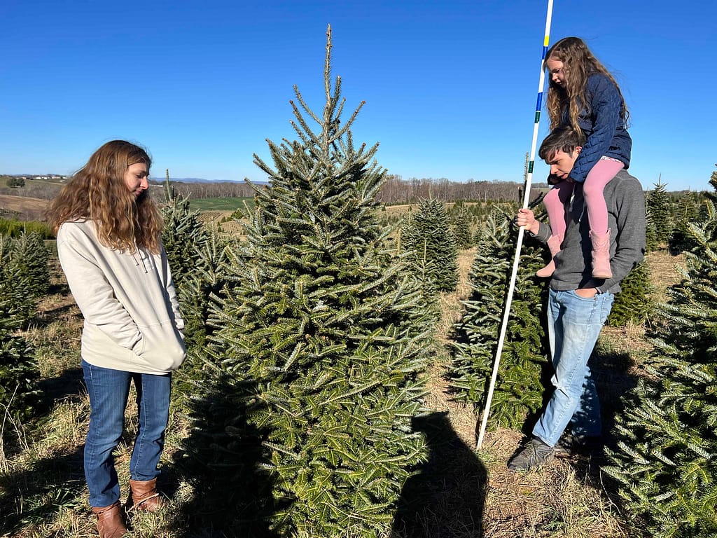 family choosing a tree at a Christmas tree farm
