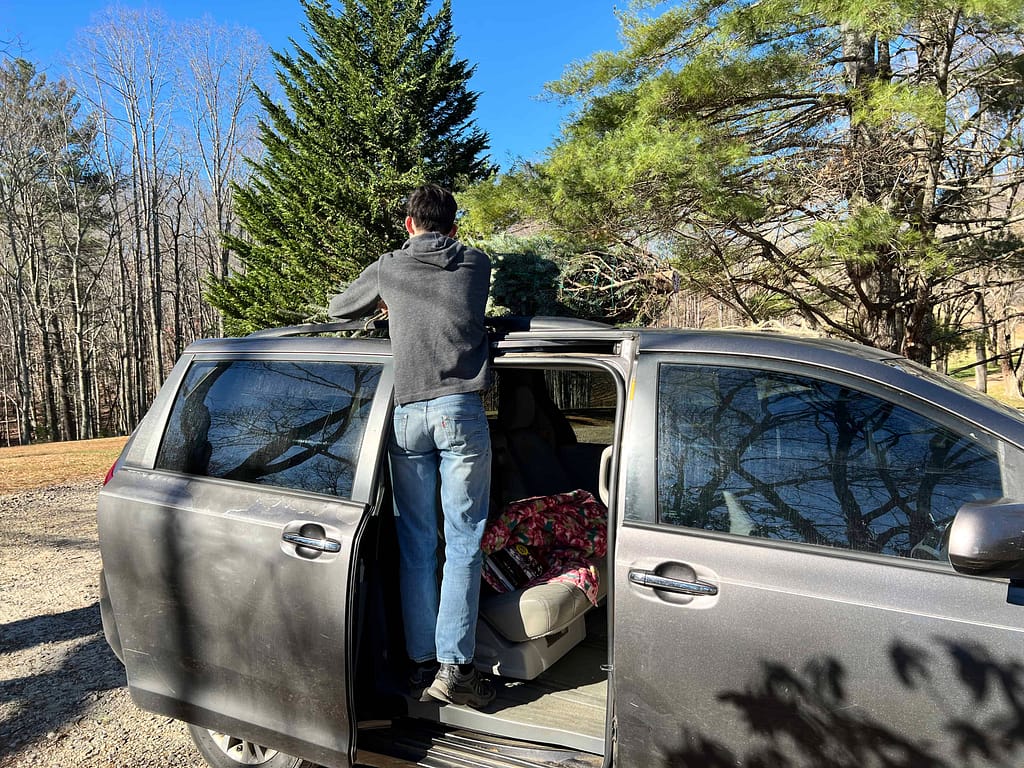 untying a Christmas tree from the top of a van
