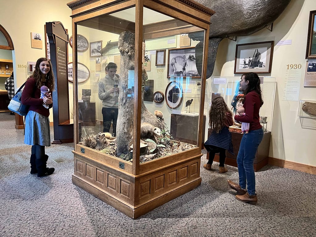kids at a museum