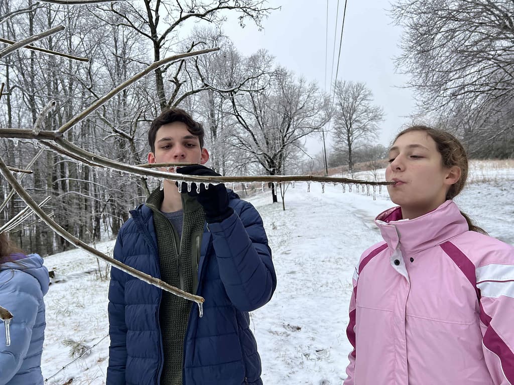 kids drinking ice off trees