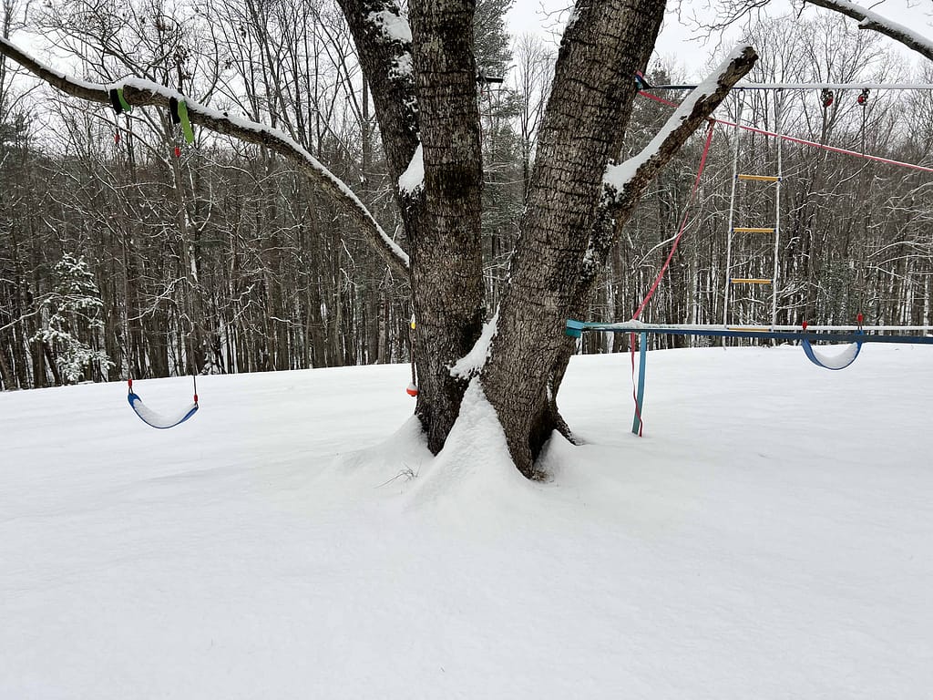 tree with snow all over it and swing hanging from it