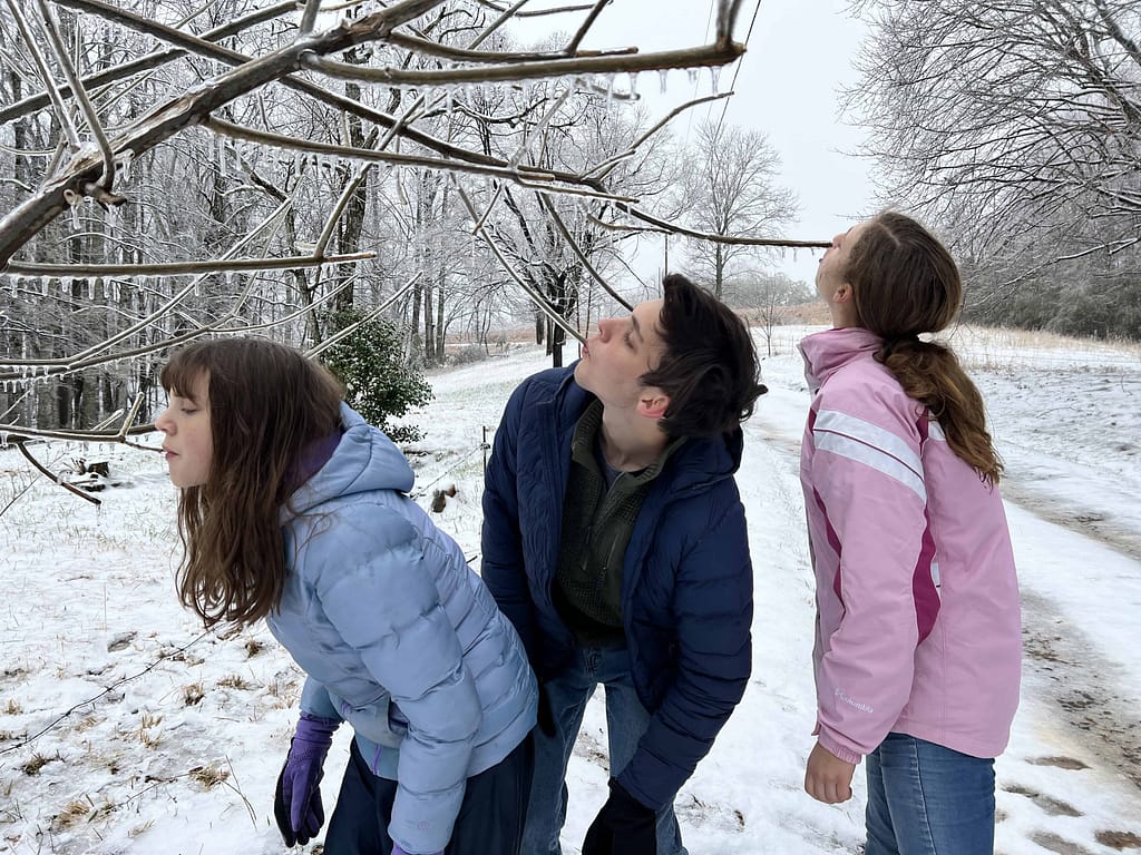 kids drinking ice from tree branches