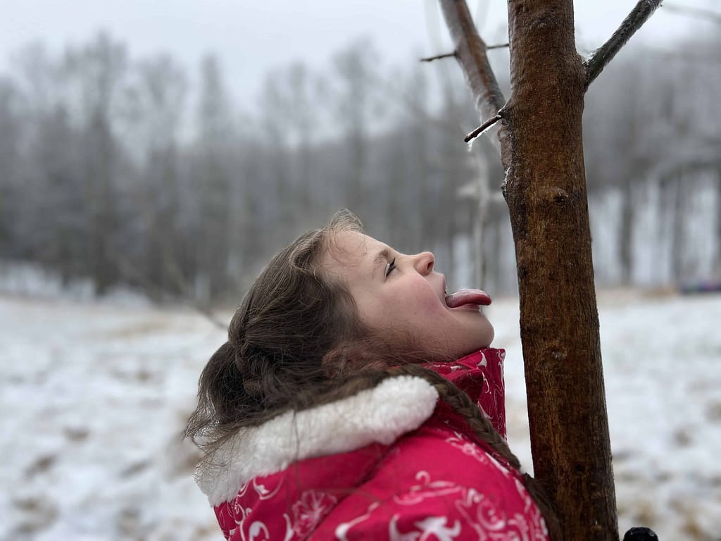 girl drinking water dripping from tree in snow