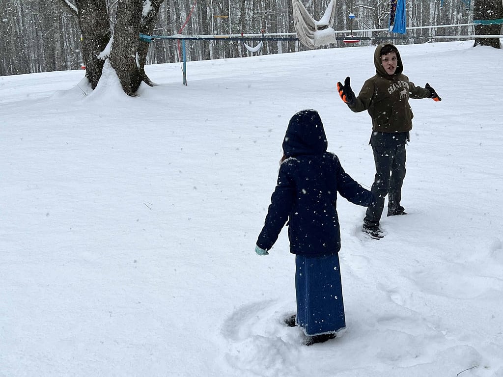 kids playing in the snow