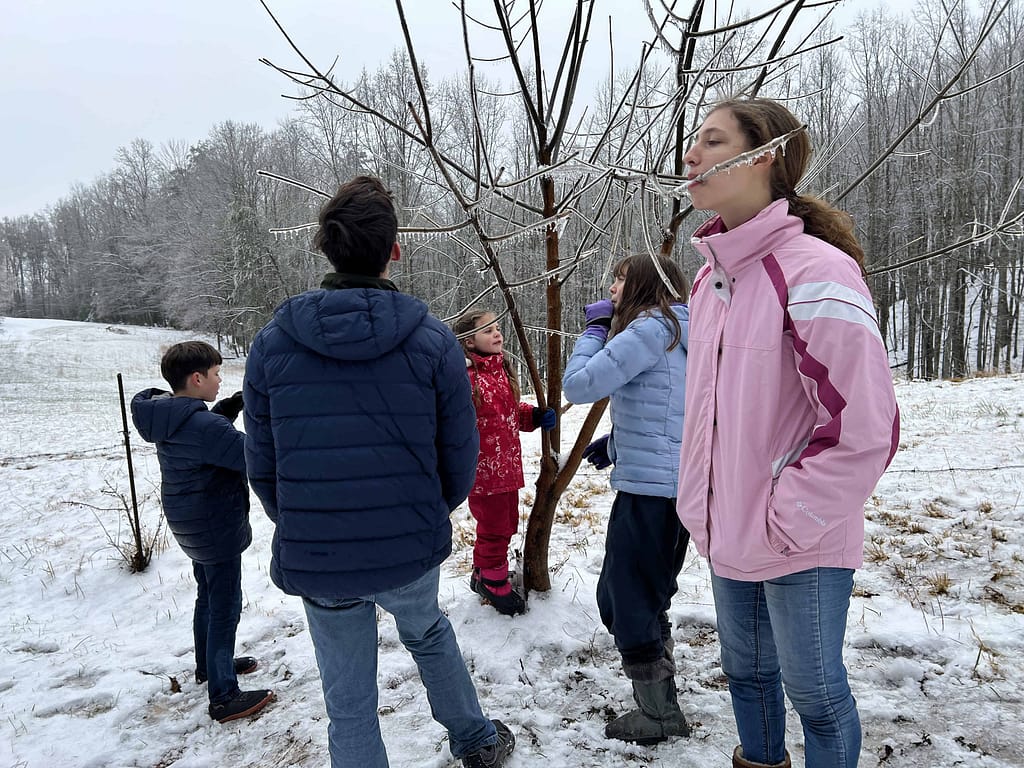 kids drinking ice from a tree