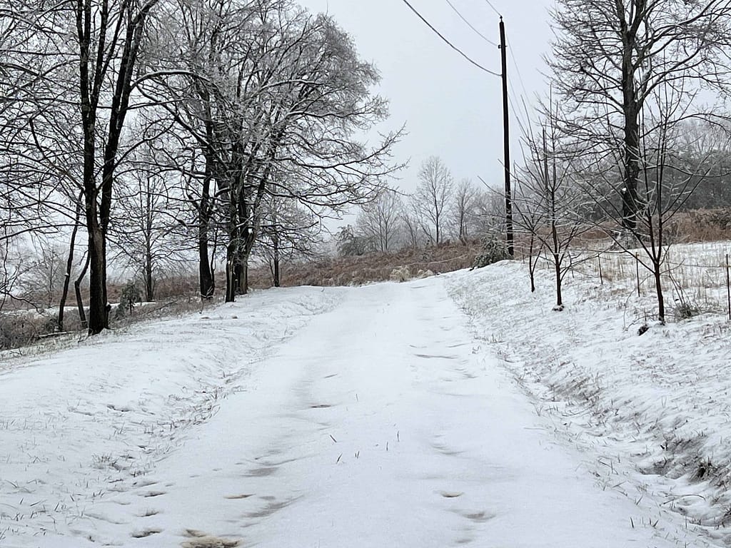 snowy dirt driveway
