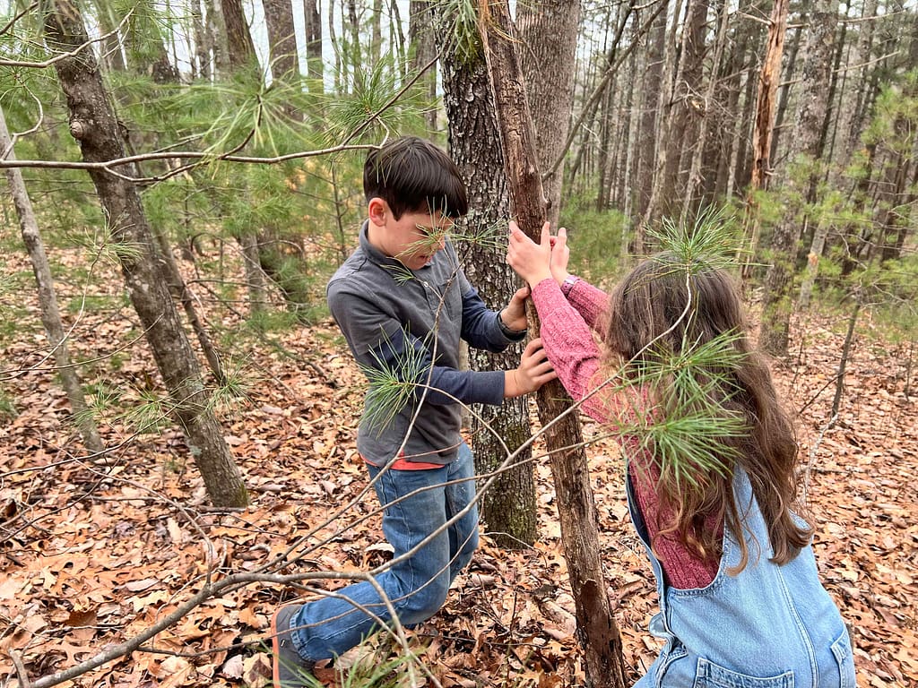 two kids trying to push a small dead tree over