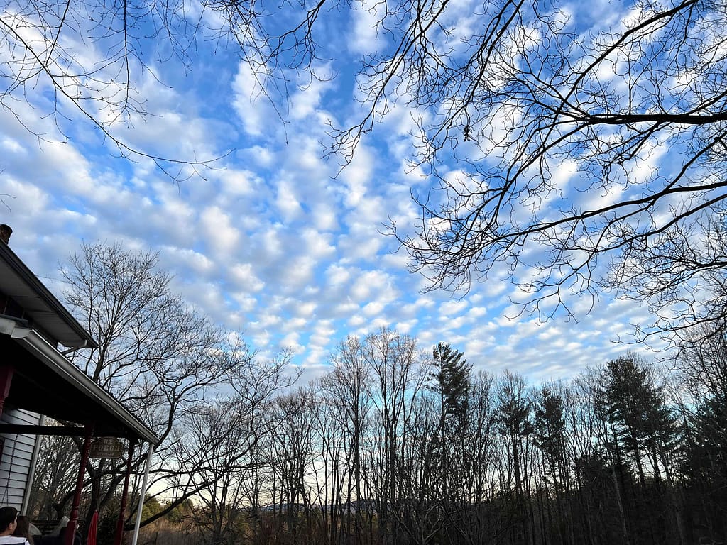 mackerel sky in the winter