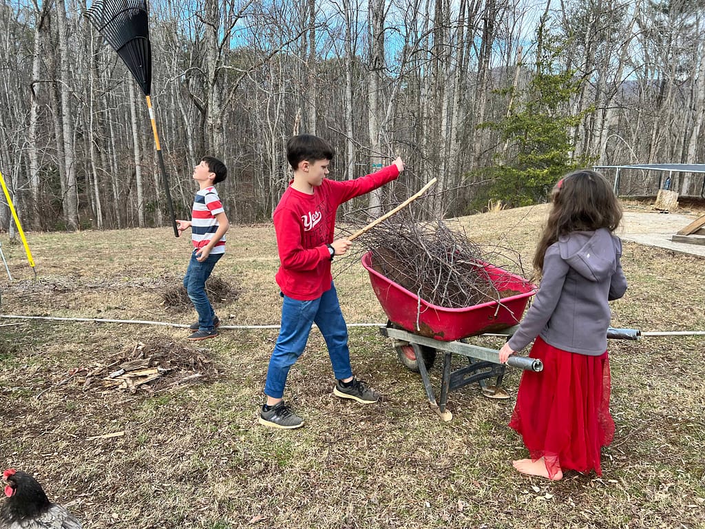 3 siblings raking sticks