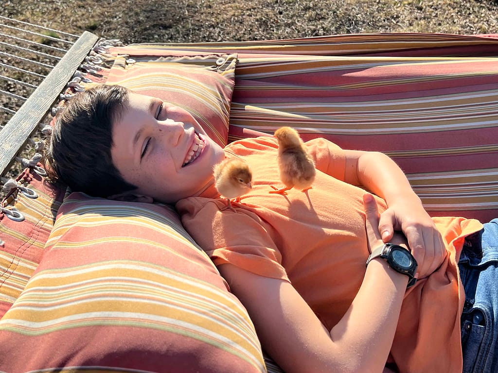 boy holding two chicks on his chest on a hammock