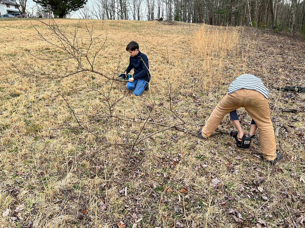 two brothers cutting small limbs and sticks for the fire