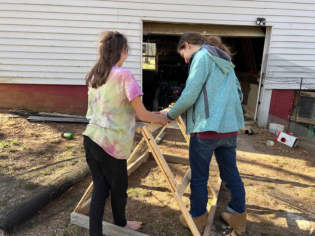 two sisters building a chick run