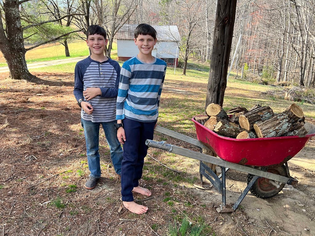 two boys hauling firewood in a wheelbarrow