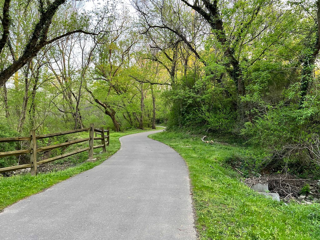 Greenway in spring