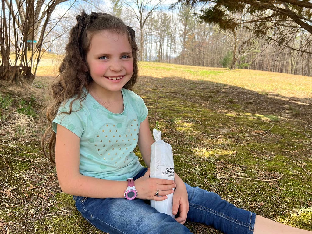 7 year old holding a hydrangea plant root