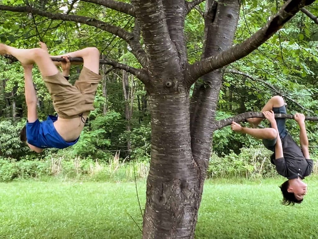 2 boys hanging from a tree