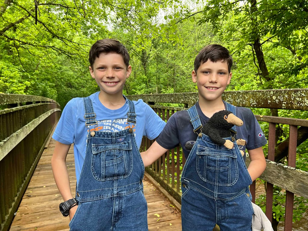 two brothers on a footbridge in spring