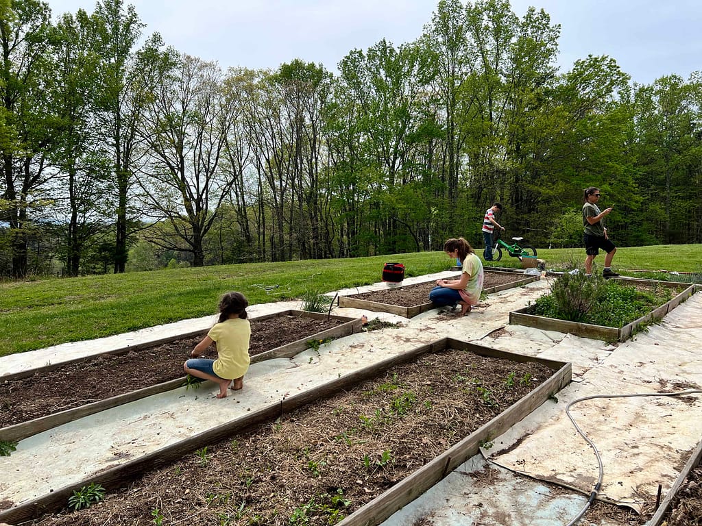 kids planting a garden box