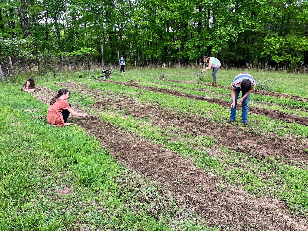 planting garden rows