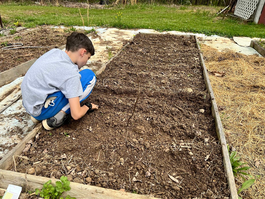 boy planting a garden bed