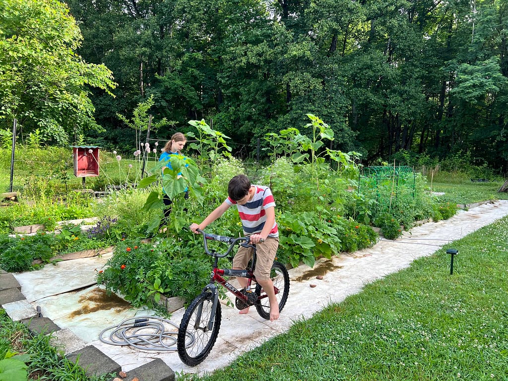 view of garden with kids in the picture