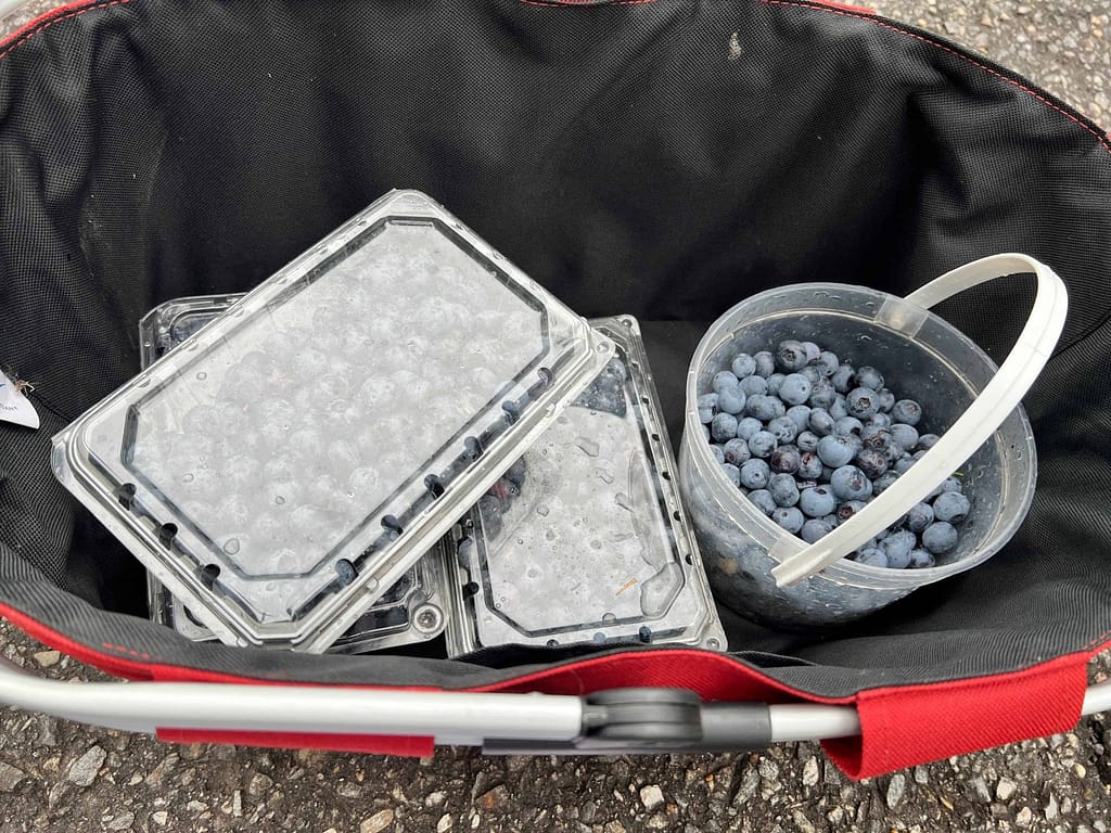 picnic basket with 4 containers of blueberries in it
