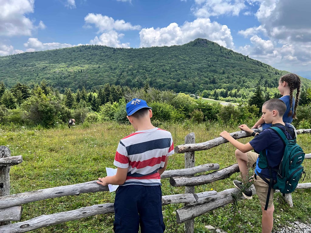 kids looking at wild ponies at Grayson State Park
