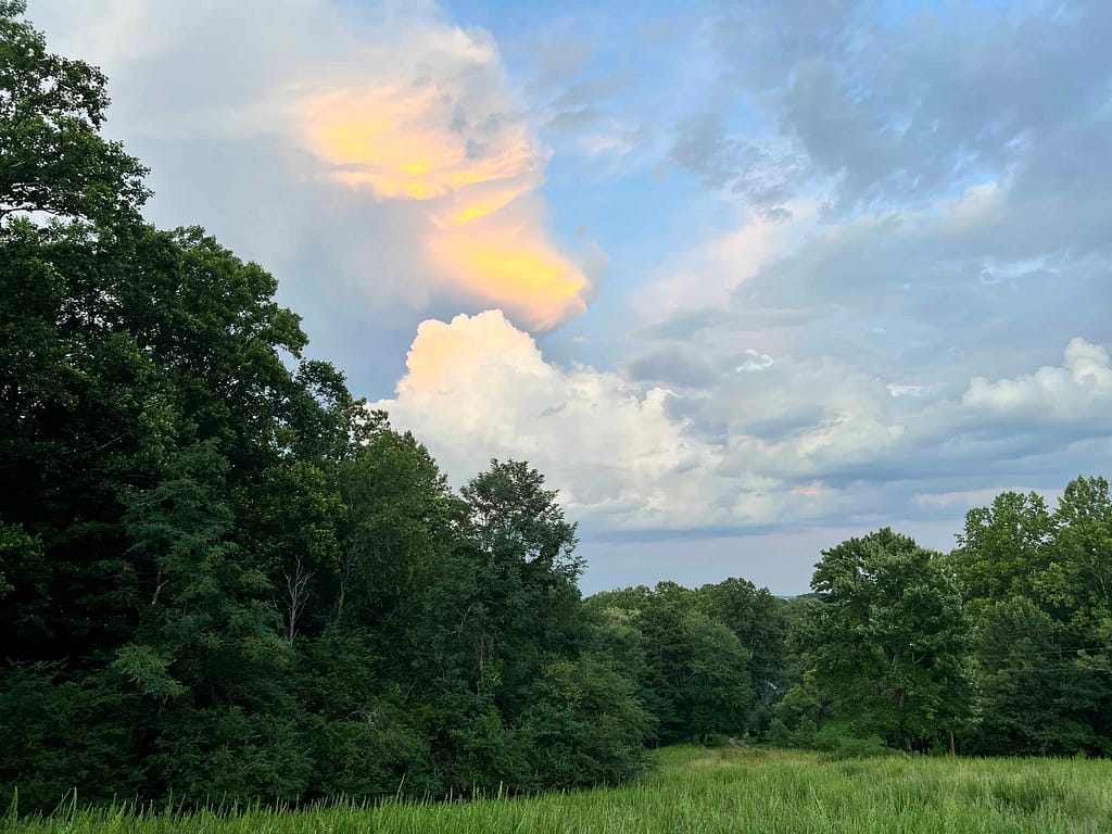 clouds and sun behind the trees on a hill