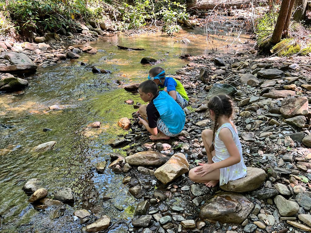three kids skipping rocks in a creek