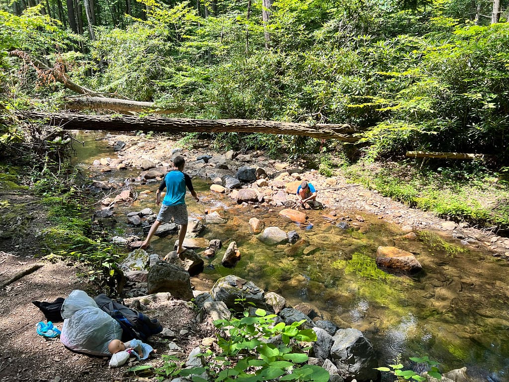 boys hanging out in a creek