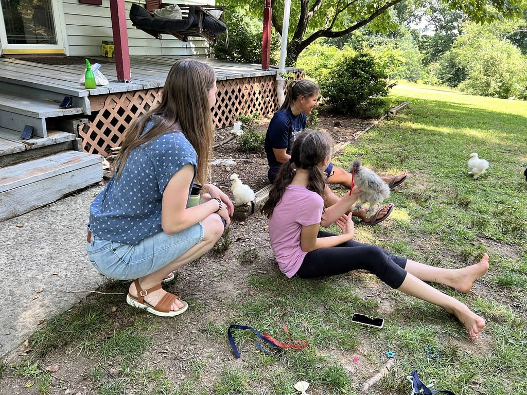 kids look at chicks in yard