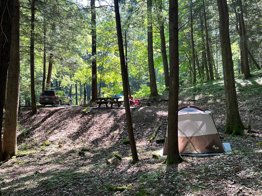 beautiful campsite at Hurricane Campground