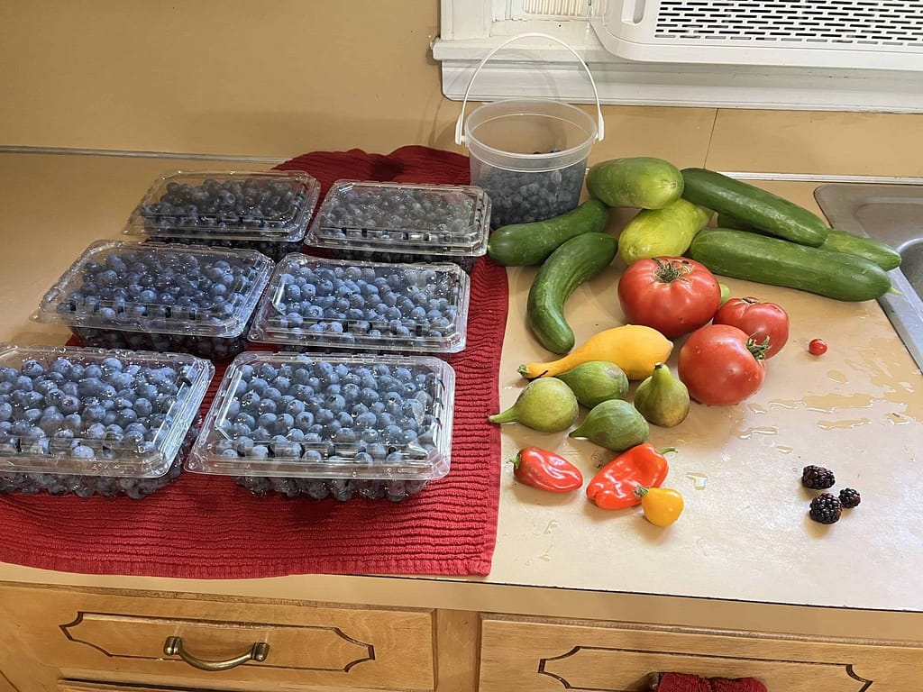 counter of blueberries and cucumbers and other food from the garden