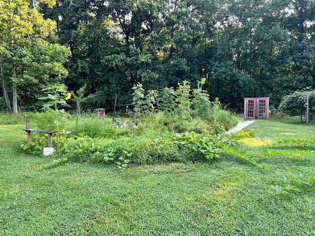 garden in mid July