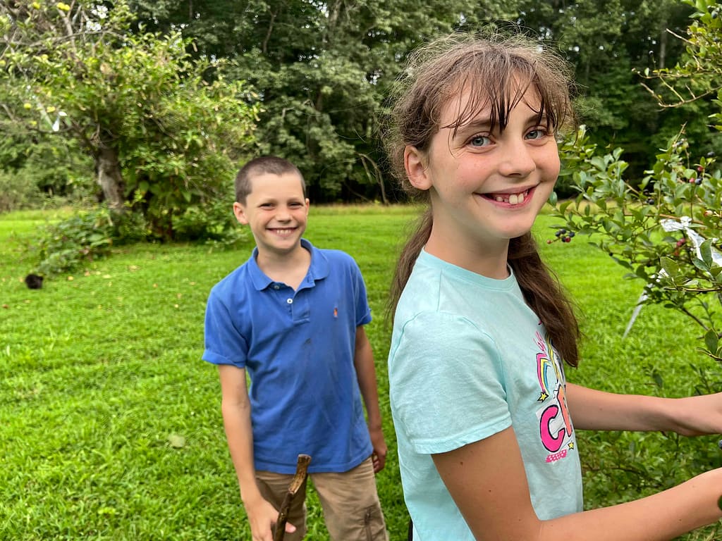 11 and 13 year old siblings picking blueberries