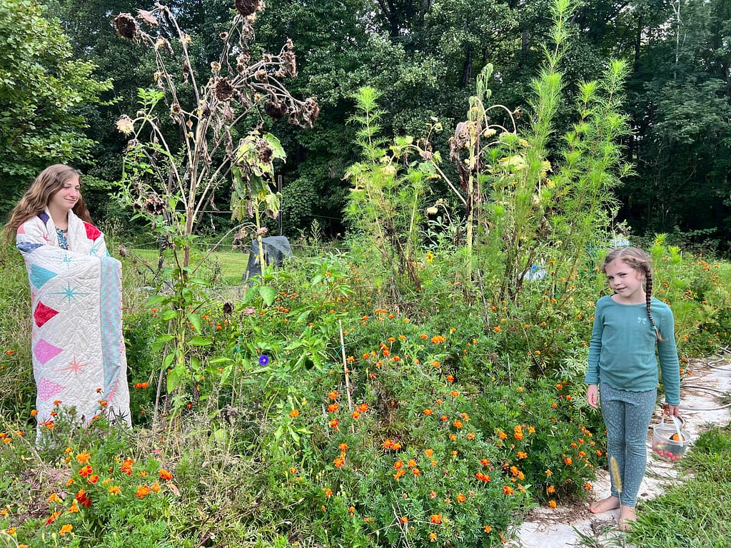 garden plants in late August