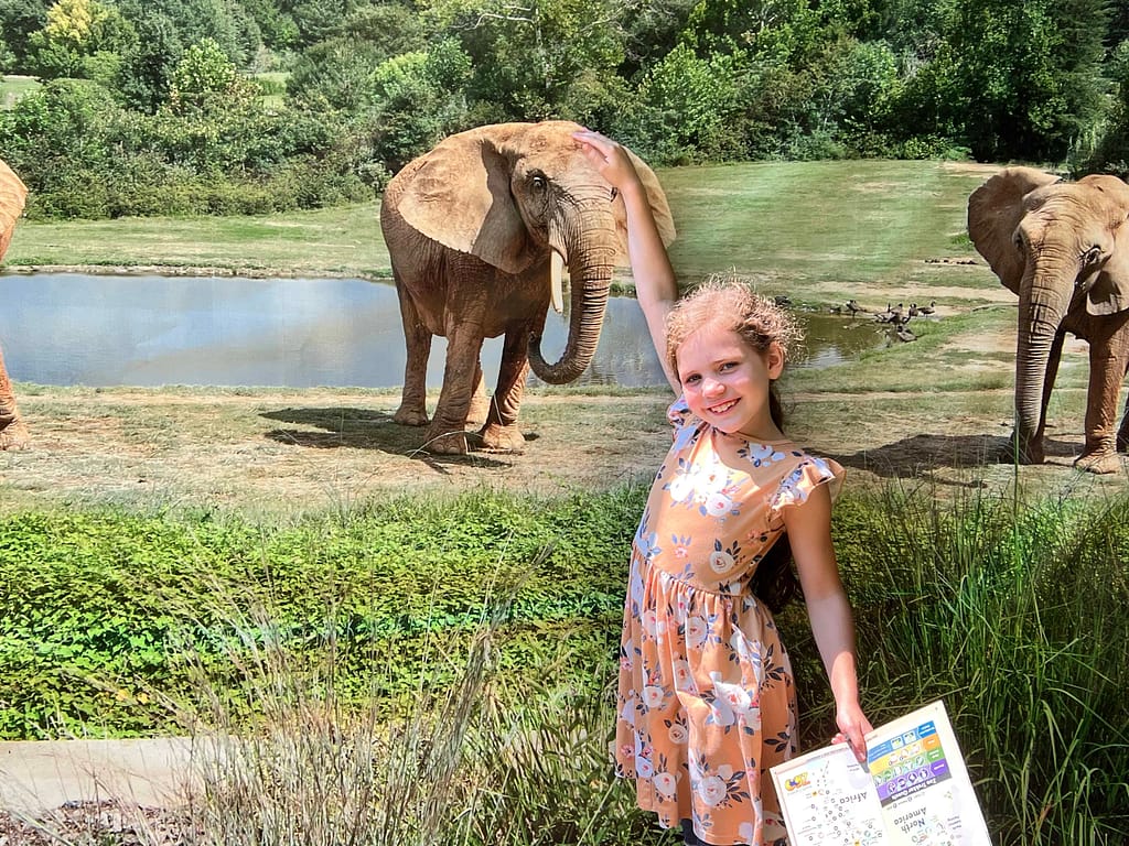 girl pretending to touch an elephant